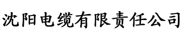 《小妇人》中文版电缆厂logo